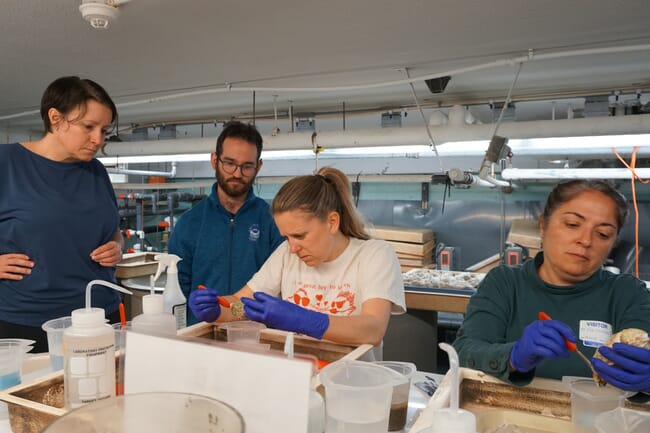 Researchers with oysters.