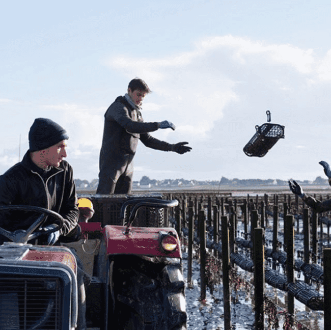 A man throwing a basket off the back of a tractor.