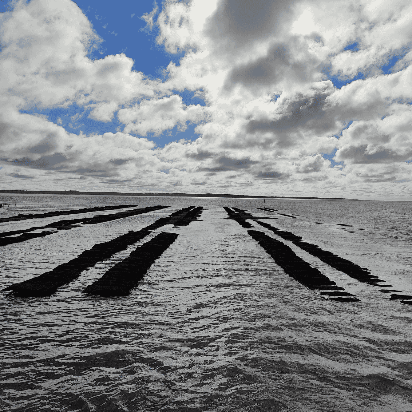 Oyster trestles at sunrise.