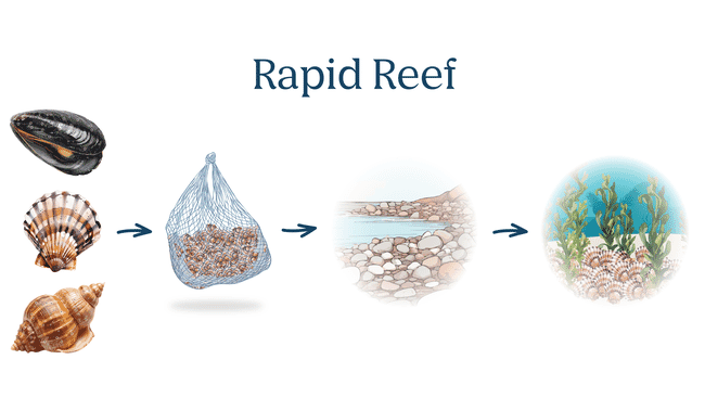 An illustration of The Oyster Restoration Company's Rapid Reef.