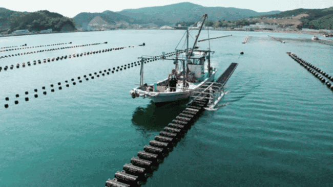 A boat flipping floating oyster baskets.
