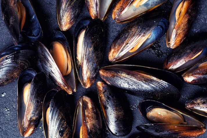 blue mussels