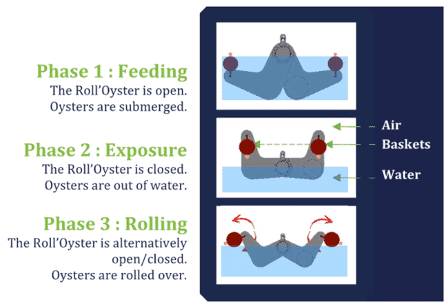 infográfico do sistema Roll'Oyster