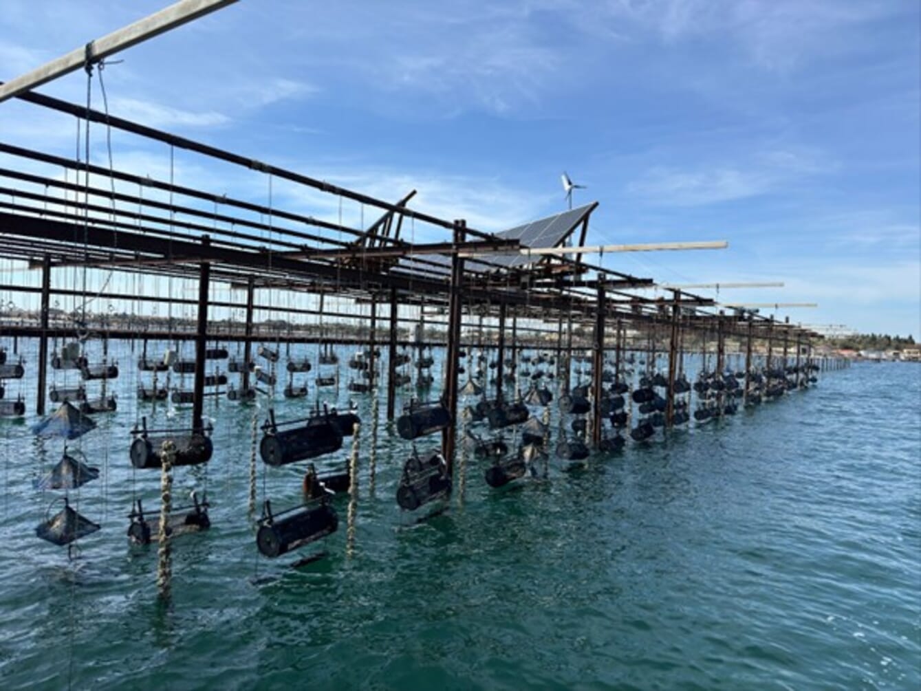 Baskets dangling above the water from trestles.