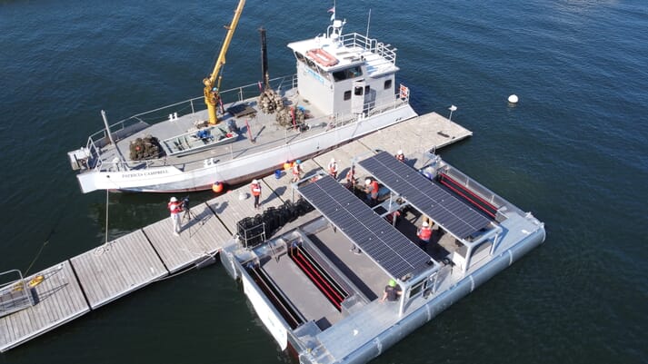 Staff from CBF and Solar Oysters load spat onto the new platform