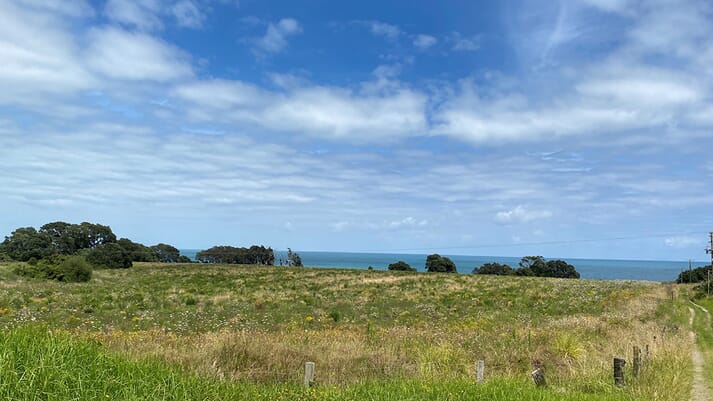 Te Whānau ā Kaiaio land near Te Kaha in the Eastern Bay of Plenty where the $45 million dollar hatchery will be built.