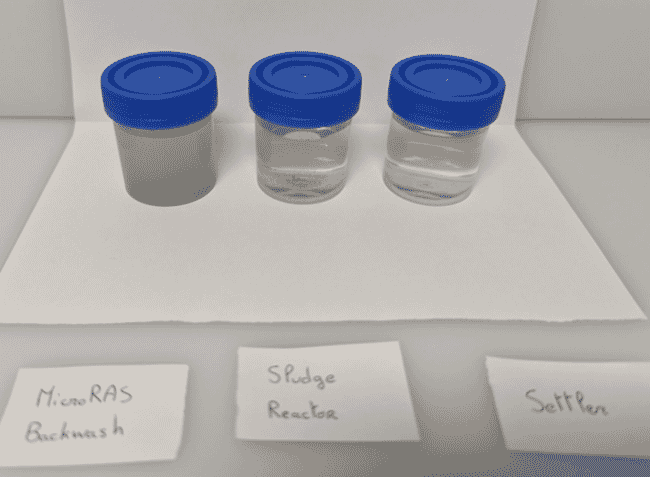 Three water samples