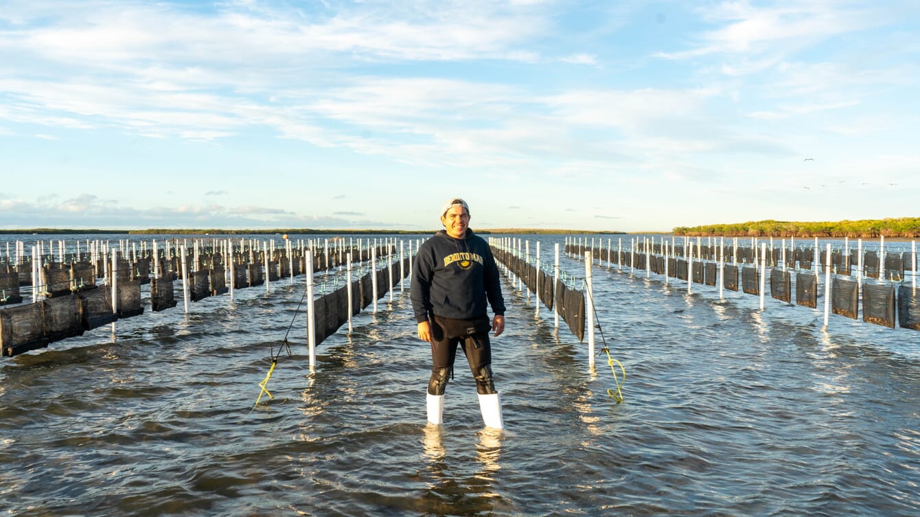 Man standing in an oyster farm