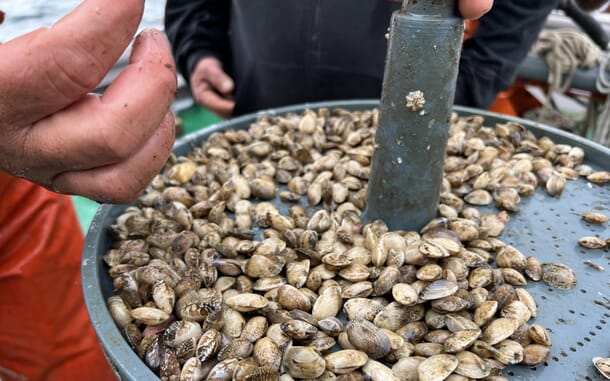 Celebrating the growers of Scotland's most gourmet shellfish | The Fish ...