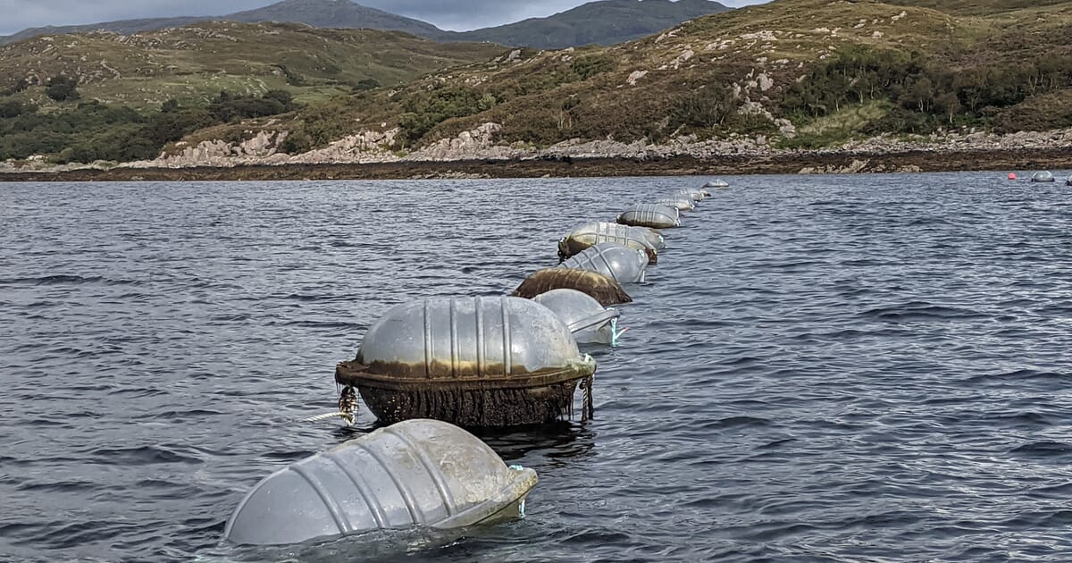 Life lessons and keeping a mussel farming business afloat | The Fish Site