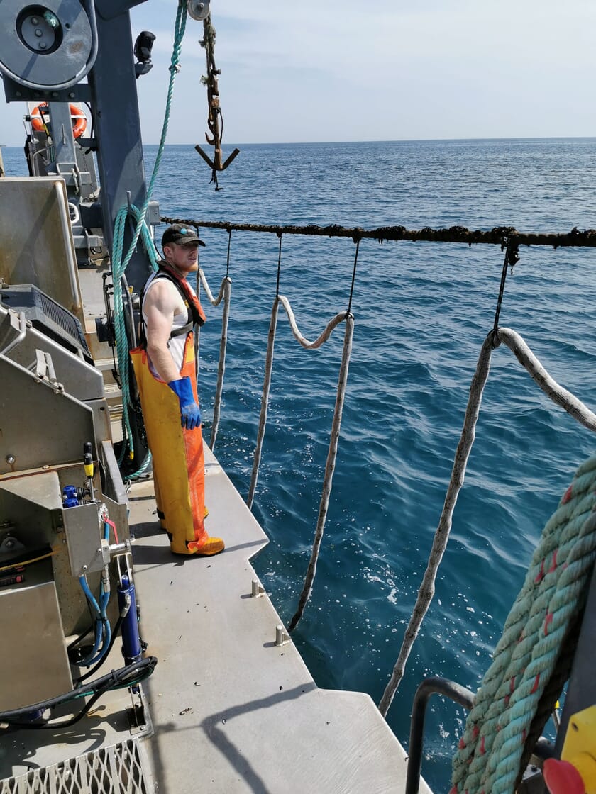 Restorative aquaculture: Offshore Shellfish | The Fish Site