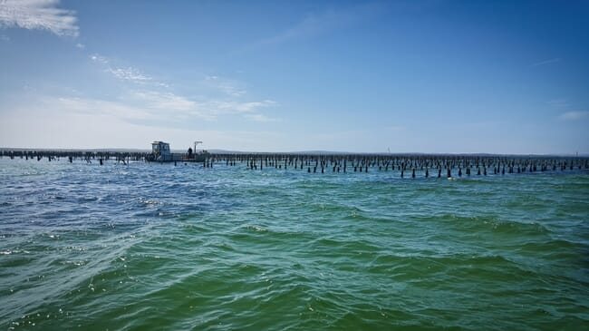 A boat floats in a turquoise sea beside numerus wooden stakes