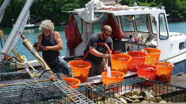 Alaska shellfish farm.