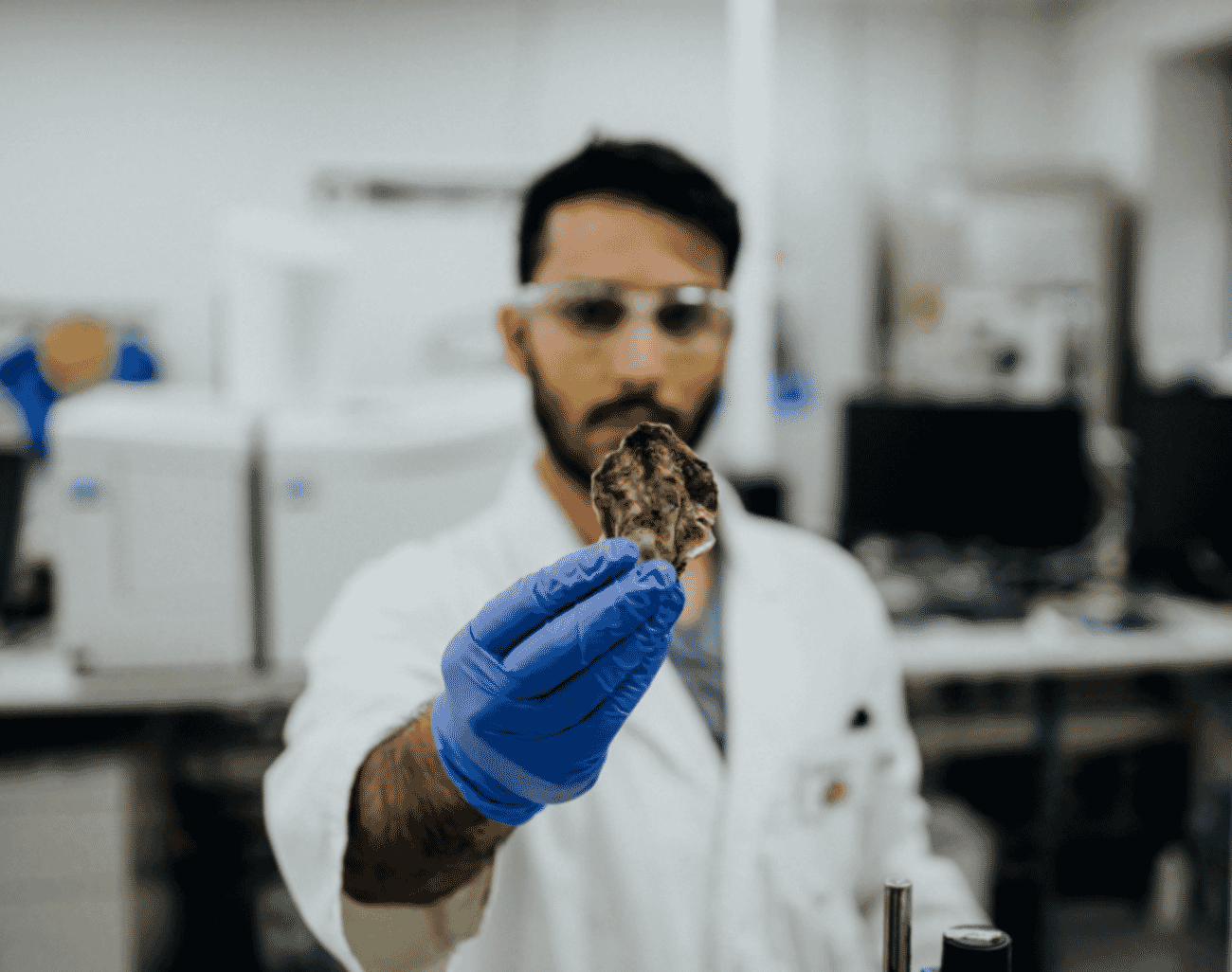 Research on oyster stress may yield human health benefits The Fish Site