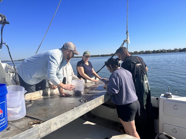 gente planeando en la cubierta de un barco