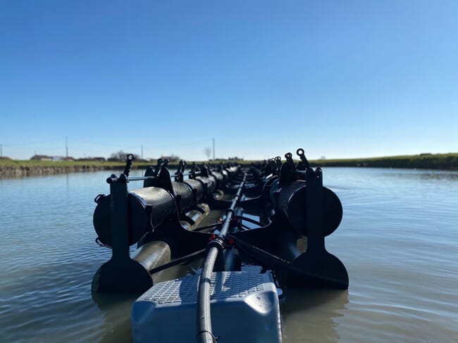 Tecnologia de cultivo de ostras em um lago