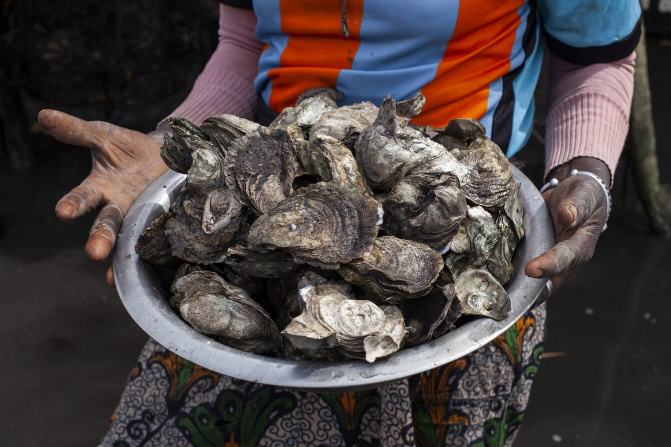 A person holding a bowl of harvested oysters