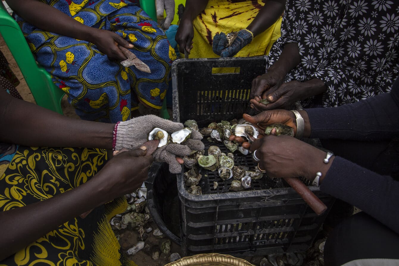 group of women processing oysters