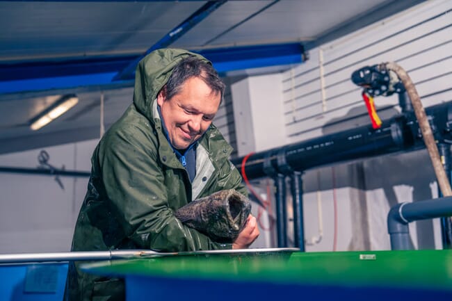 Man holding a spotted wolffish.