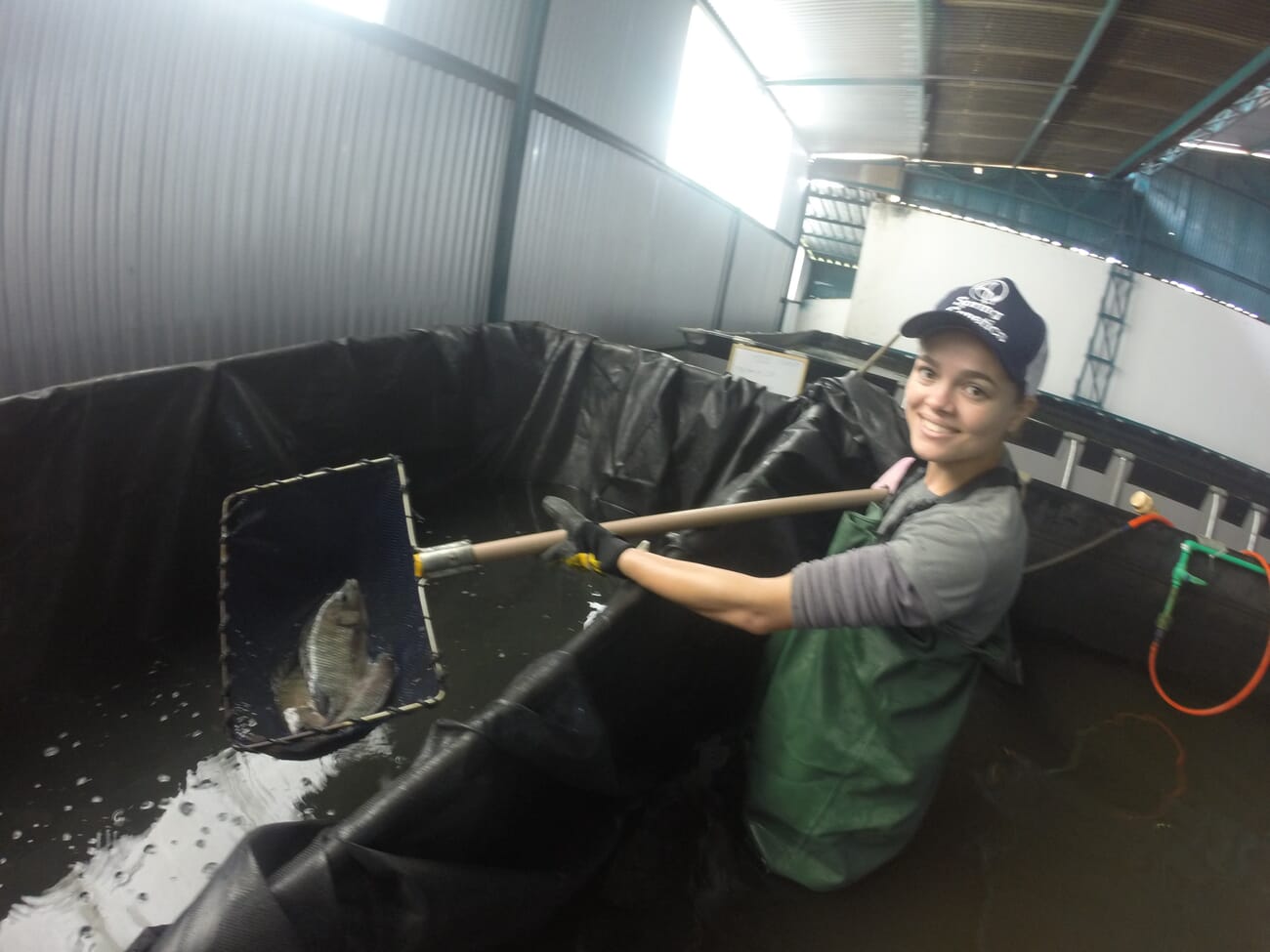 Women thrive in Brazilian aquaculture | The Fish Site