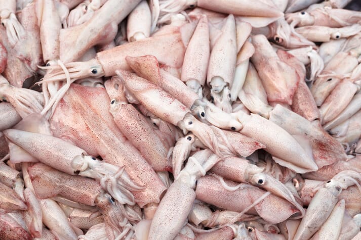 Pigments from squid skin, much of which is currently discarded by processors, could be used in both the food and health sectors