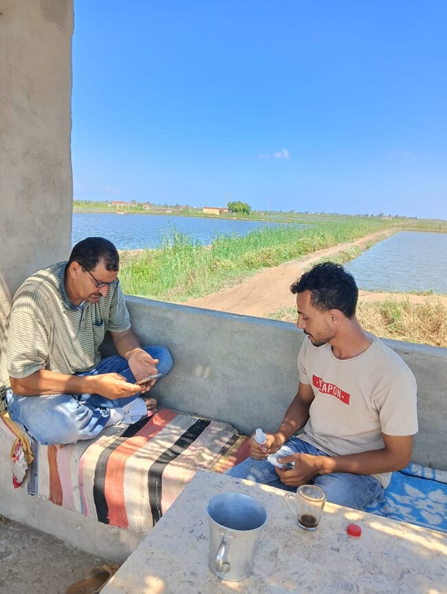 Two people looking at their phones in front of fish ponds.