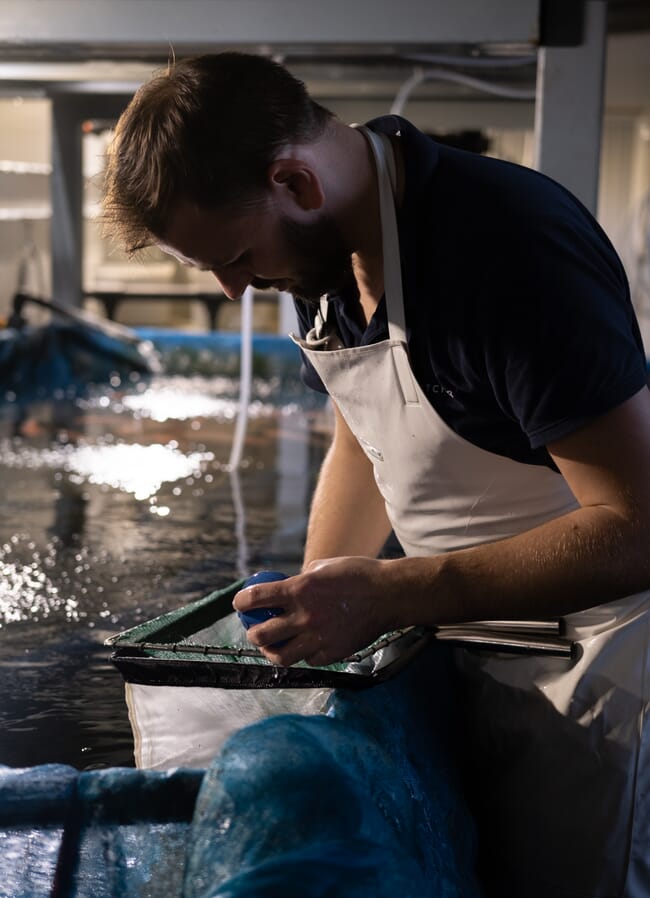 um homem em uma fazenda de peixes coberta