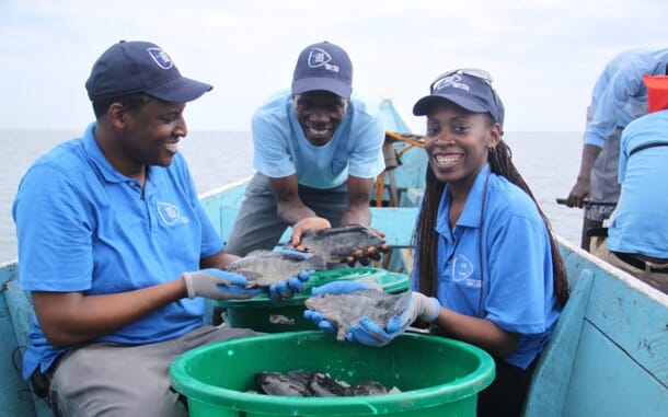 Can land-based RAS overcome its issues? | The Fish Site