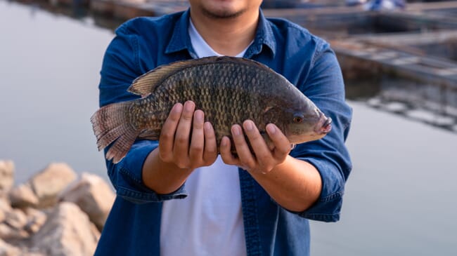 A person holding up a fish.