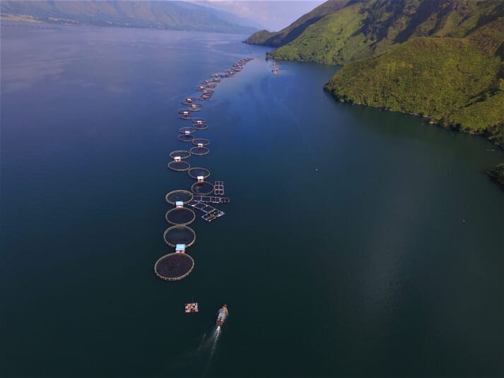 Aerial view of fish pens in a lake