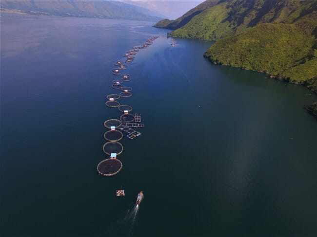 Aerial view of fish pens