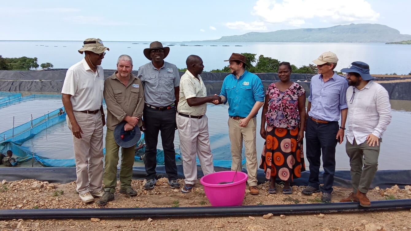 Un grupo de cultivadores de tilapia en Kenia.