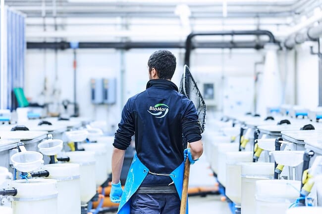 Person walking through a hatchery facility