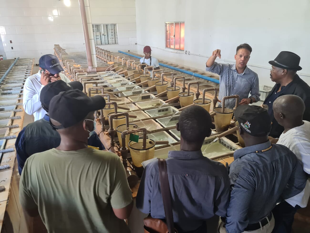 Ugandan delegation visits Brazil’s top tilapia players The Fish Site