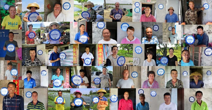 photo collage of tilapia farmers