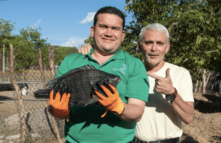Acceso's Andres Baiza (left) with Frank Guistra and one of the Spring Genetics tilapia