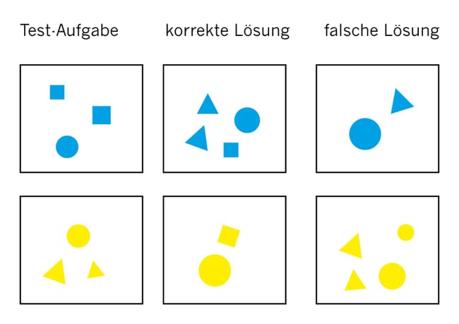 series of blue and yellow shapes