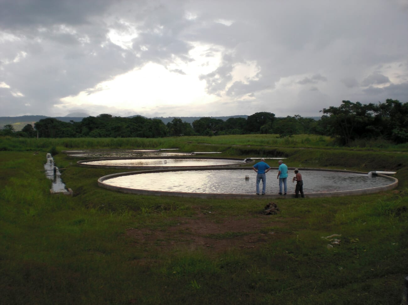 What’s holding back high impact aquaculture development? The Fish Site
