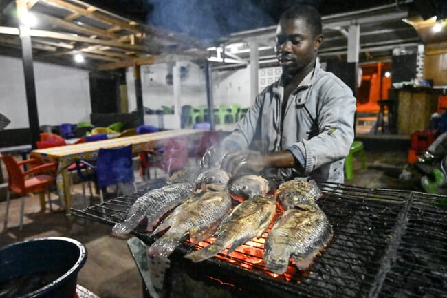 Person grilling tilapia in a restaurant