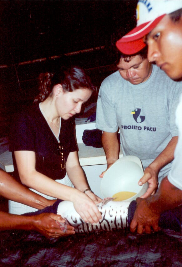 Caseiro has been involved with many projects, working with a wide range of species including Pacu, in her native Brazil