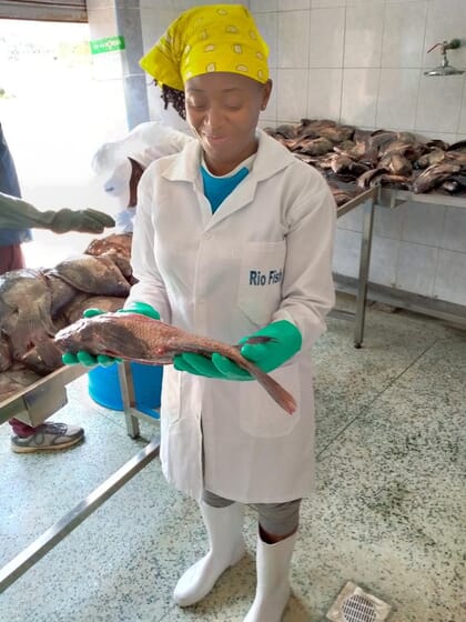 woman holding a tilapia