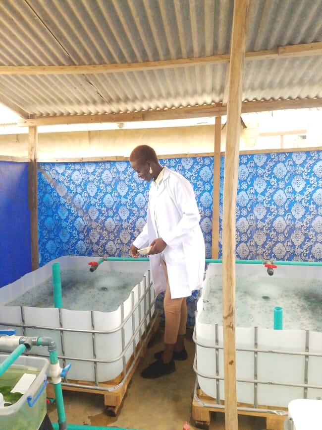 Oluwasikemi Olabisi em pé ao lado de um tanque cheio de alevinos de bagre