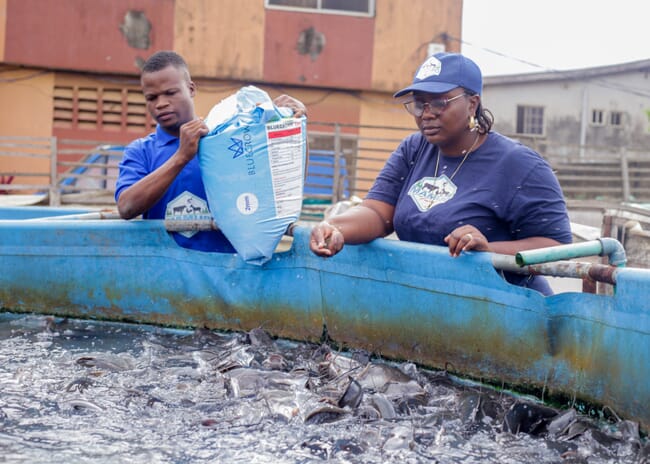 A woman feeding catfish.