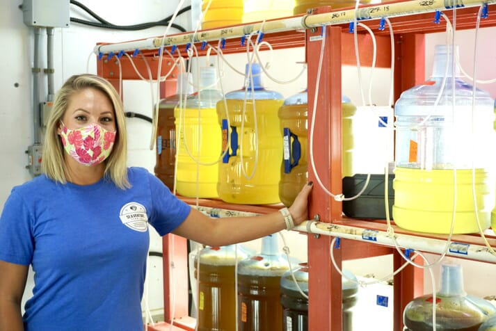Victoria Parks, co-founder and hatchery manager of the Seaventure Clam Co, in the hatchery's algae production facility