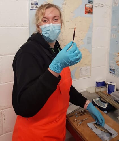 Woman taking samples from a fish on a wooden desk