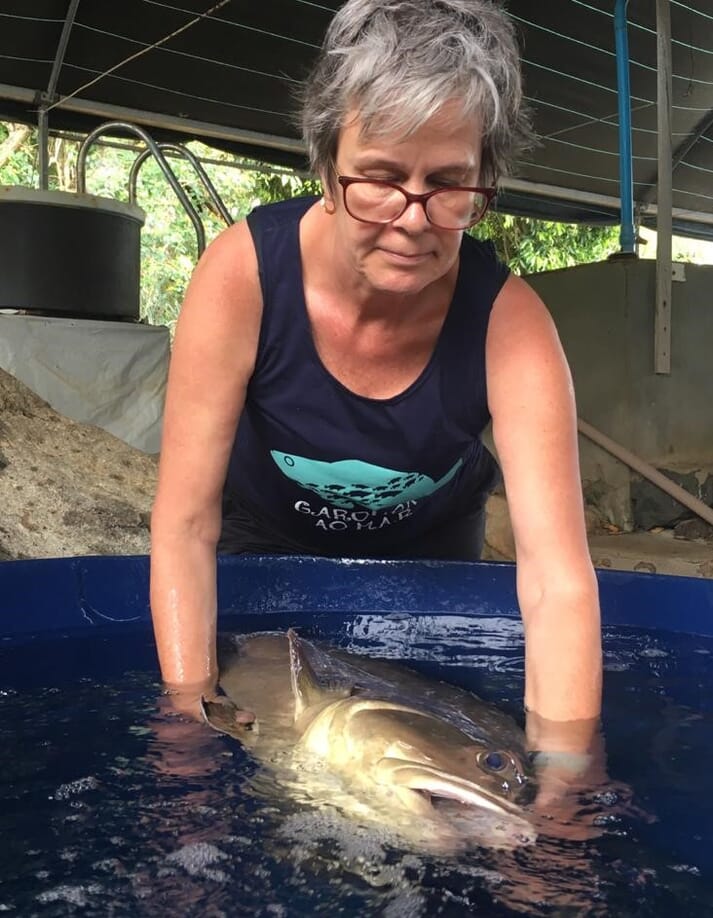 Claudia Kerber with a mature dusky grouper at the Redemar hatchery, in Brazil