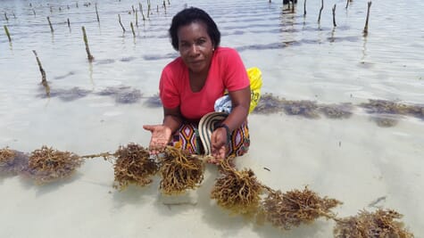 Women in aquaculture: Dr Flower Msuya | The Fish Site