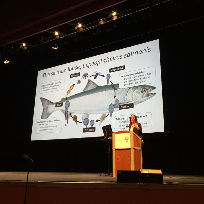 Women in aquaculture: Dr Laura Braden | The Fish Site