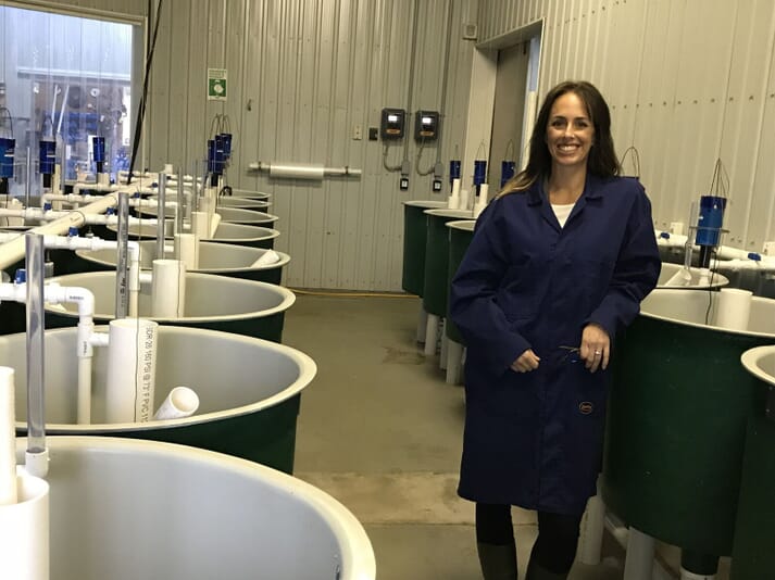 The early rearing area at AquaBounty's new facilities in Rollo Bay. These smaller tanks will be used for large-scale family studies