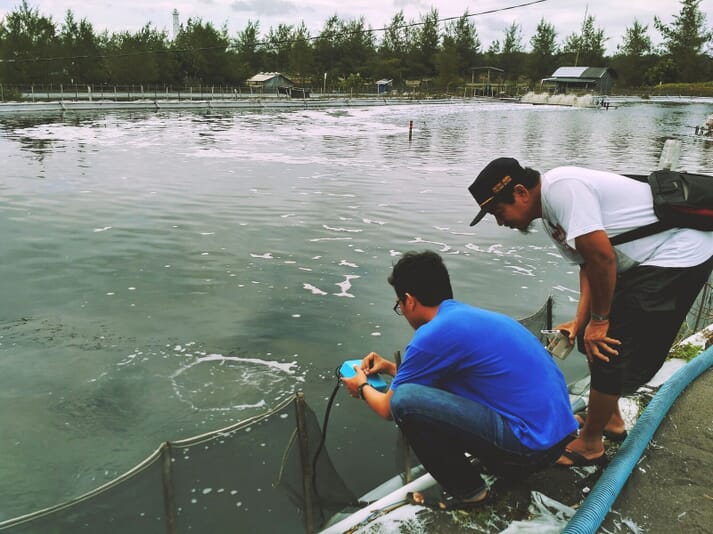 An early prototype of the device being tested on a shrimp farm in Purworejo, Java